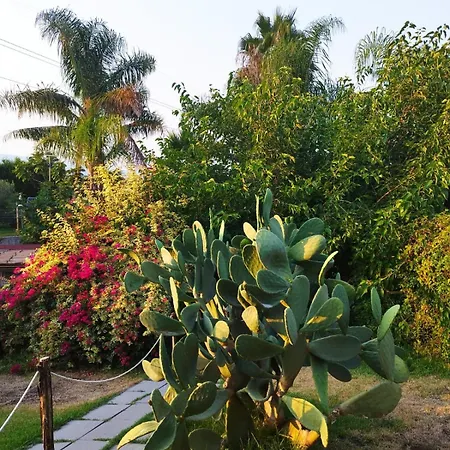 Mongibeach Bed & Breakfast Acireale