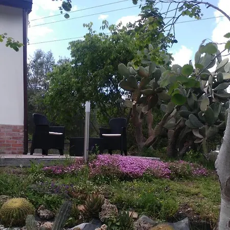 B&B Mongibeach 아치레알레