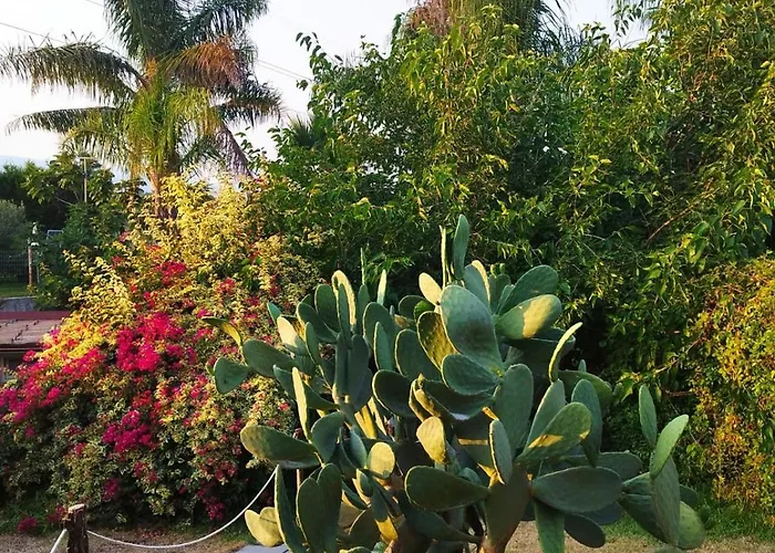 Mongibeach Отель типа 