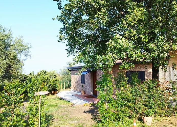 Mongibeach Отель типа 